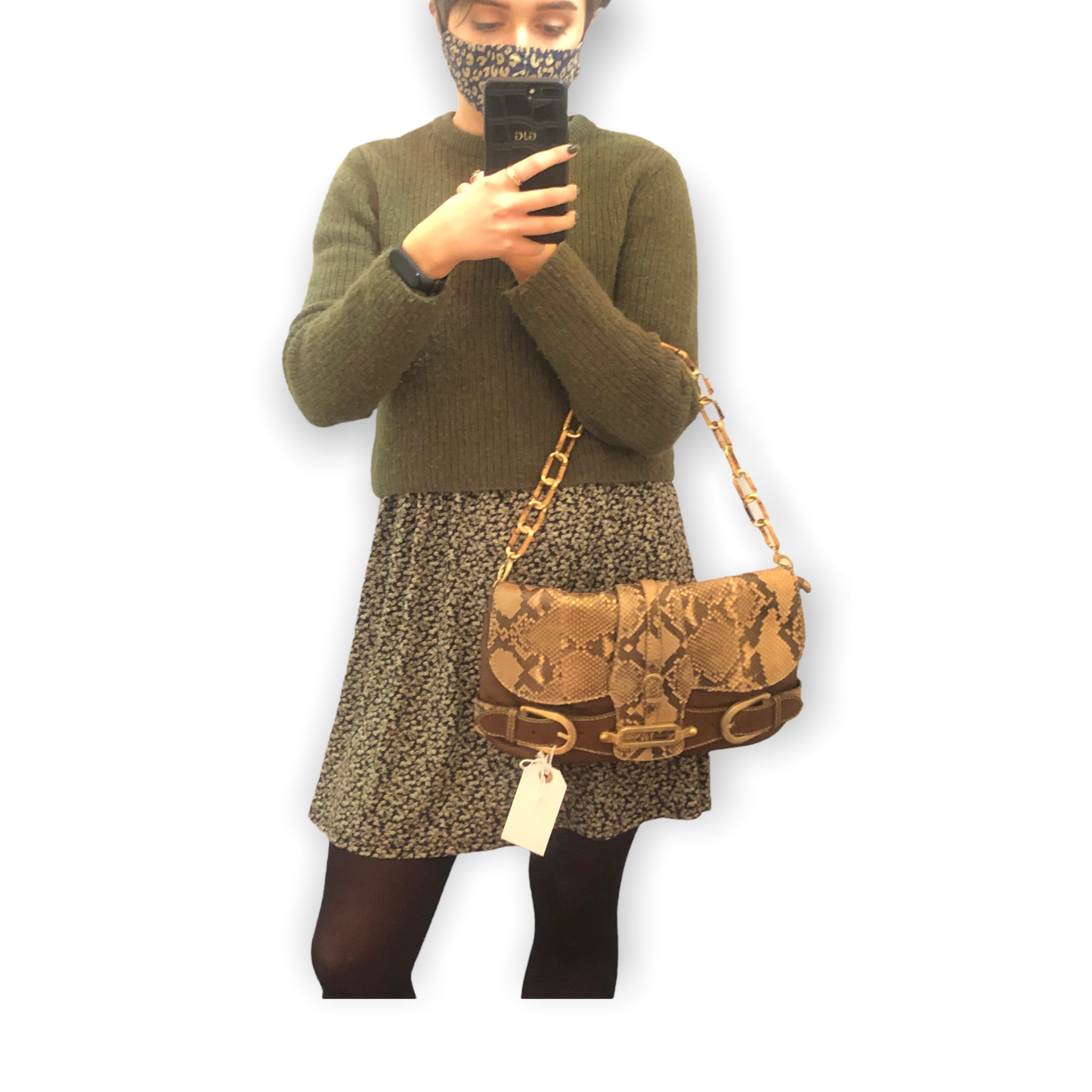 Jimmy Choo Snake Print and Tan Leather Bag