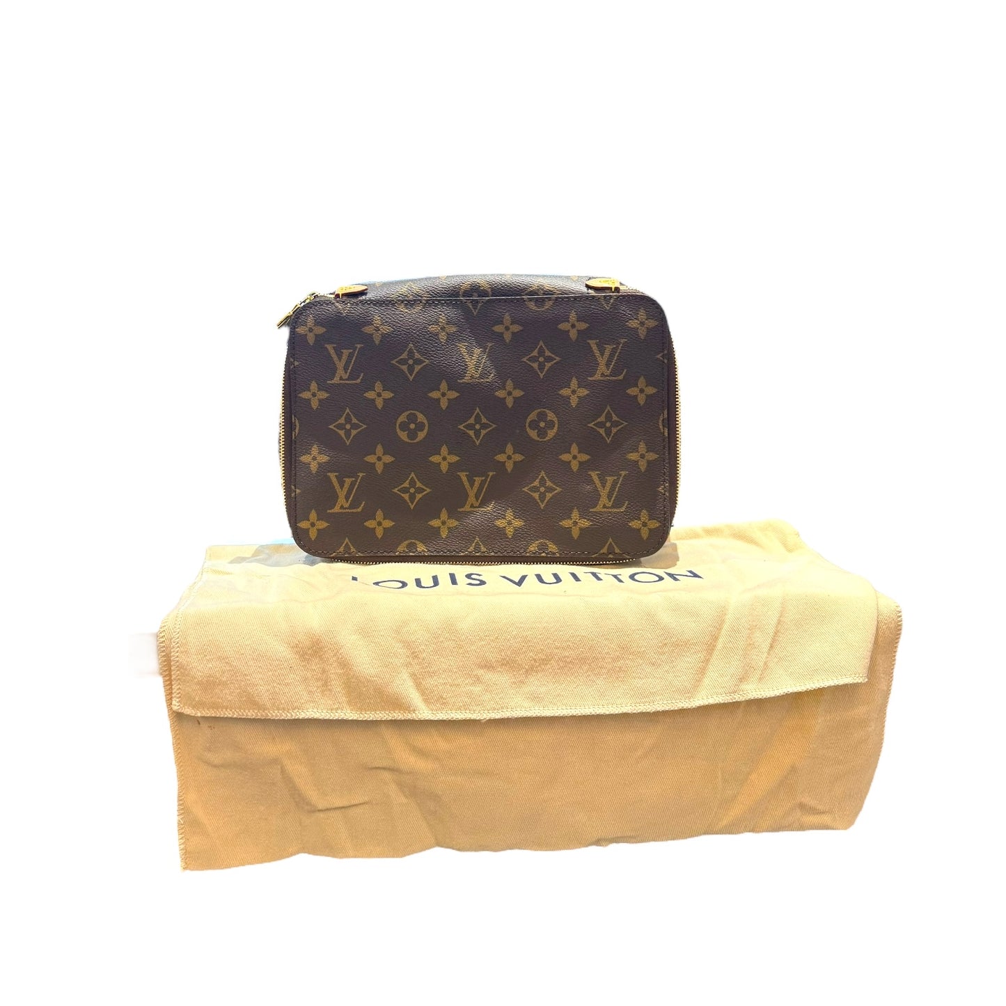 Louis Vuitton Carry Case