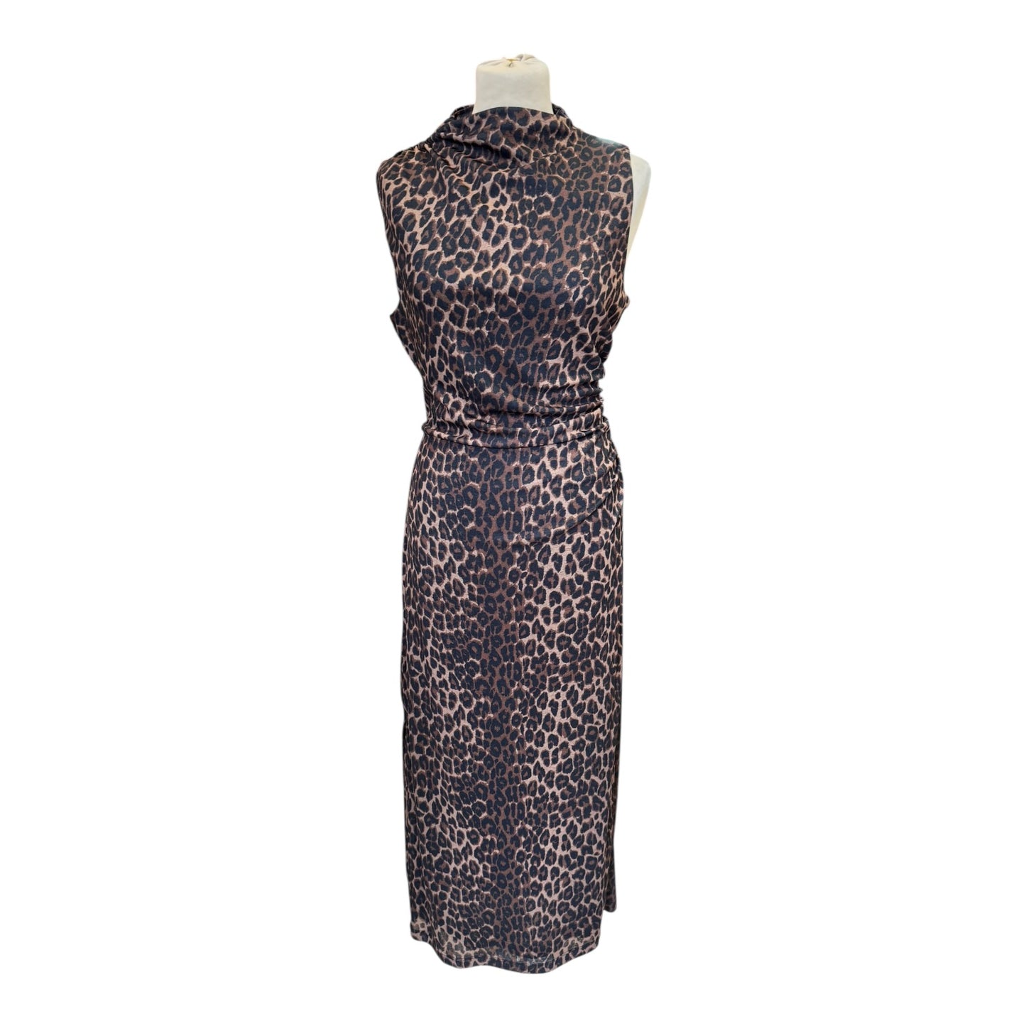 Rails Rebecca Dress in Leopard - 12/14