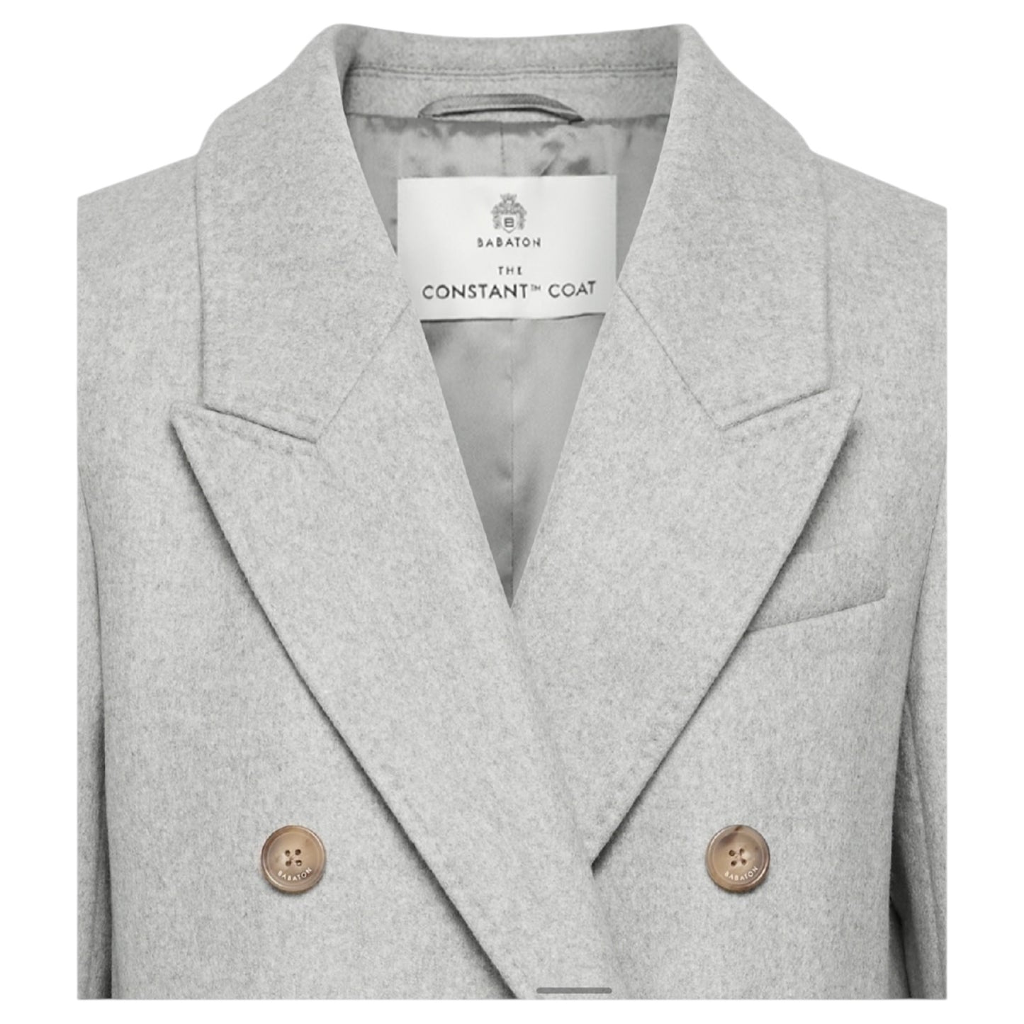 Aritzia Babaton The Constant Virgin Wool and Cashmere Long Coat in Heather Grey - 10/12