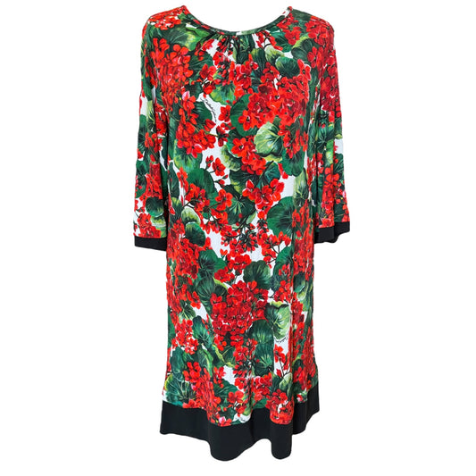 Dolce and Gabbana Red Floral Dress - 12/14