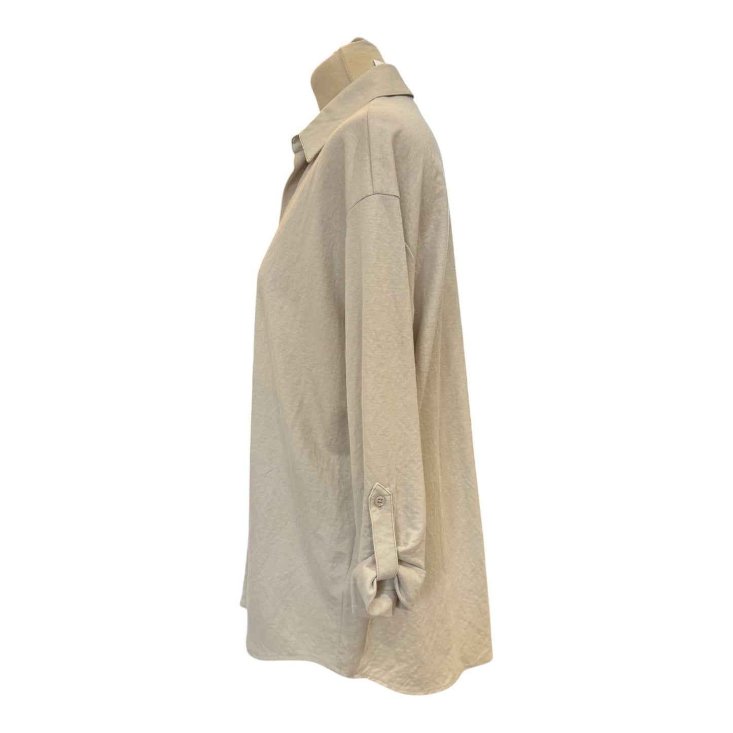 Massimo Dutti Beige Blouse - 10/12