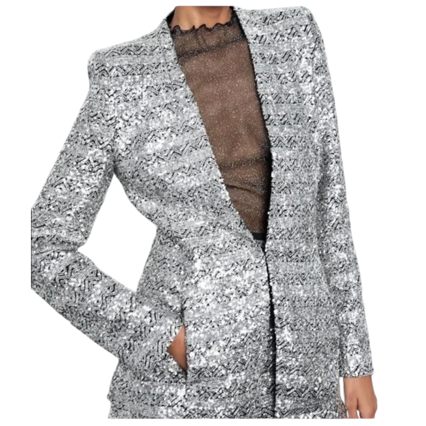 Zara Silver Sequin Blazer - 12