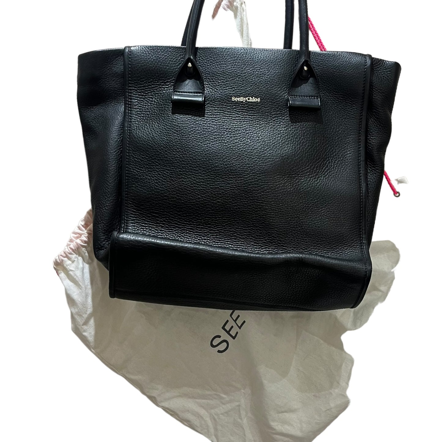 See By Chloe Black Leather Bag