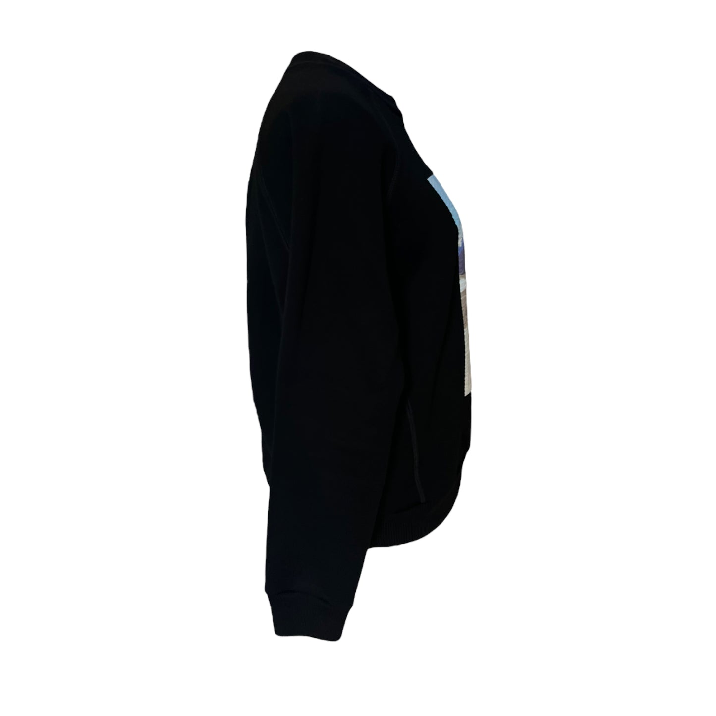 Plan C Black Sweat Shirt