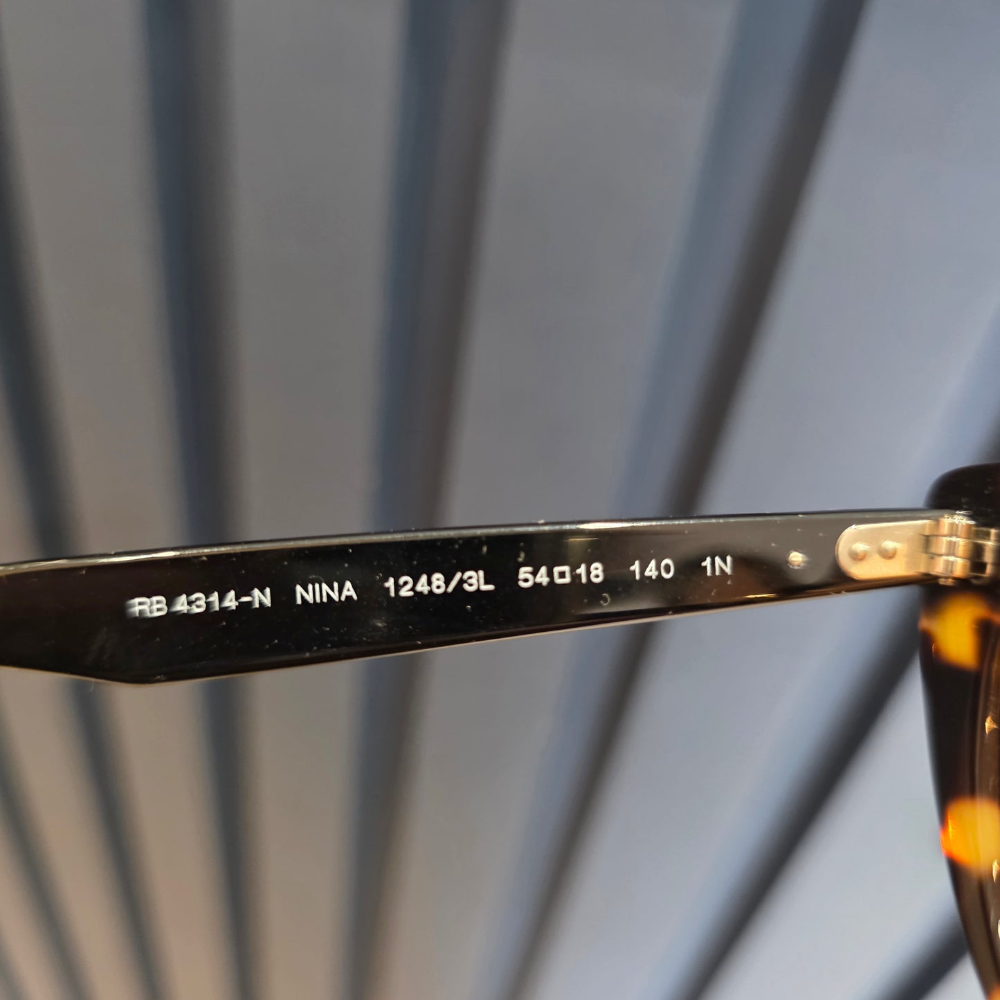 Ray Ban Nina Cat's Eye Sunglasses