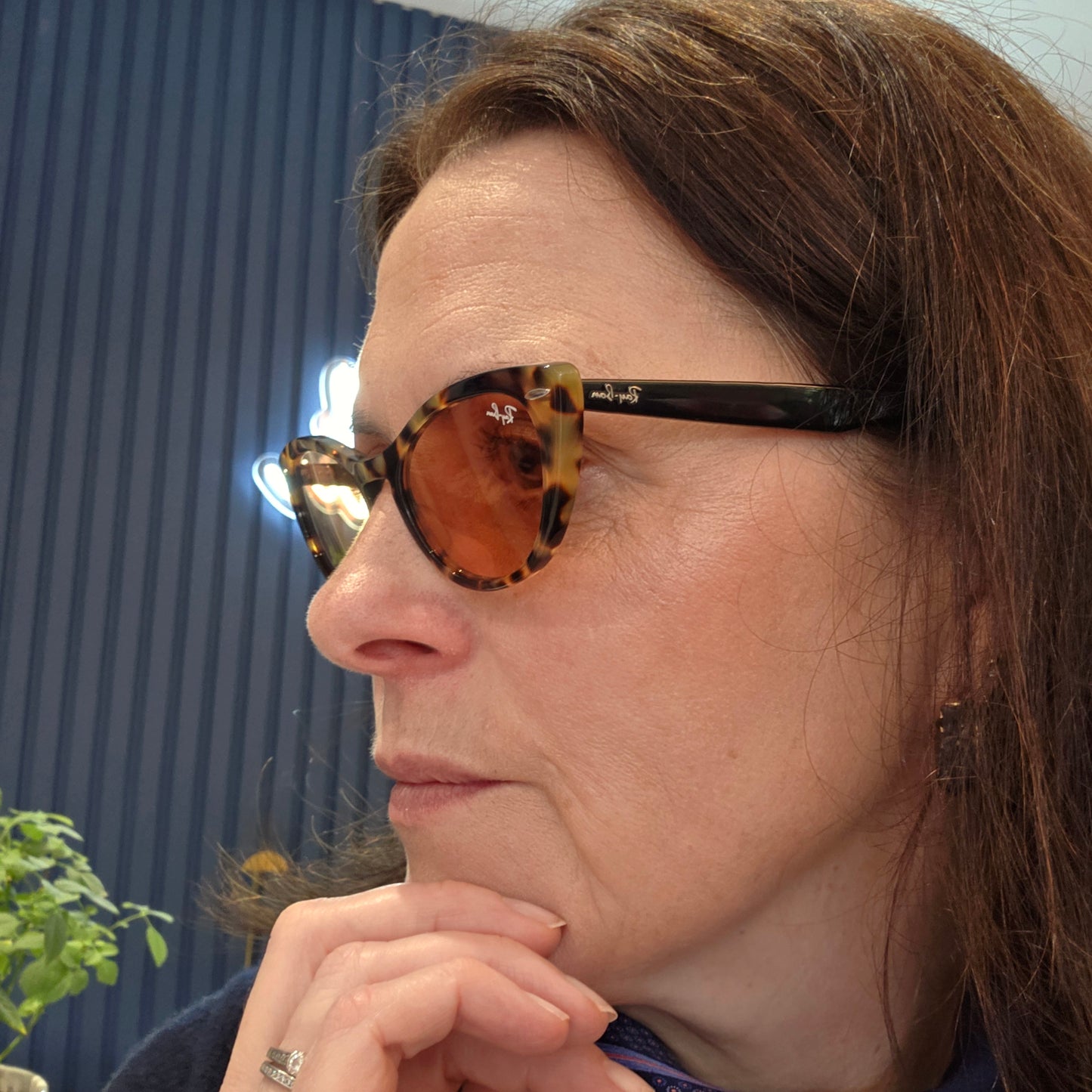 Ray Ban Nina Cat's Eye Sunglasses