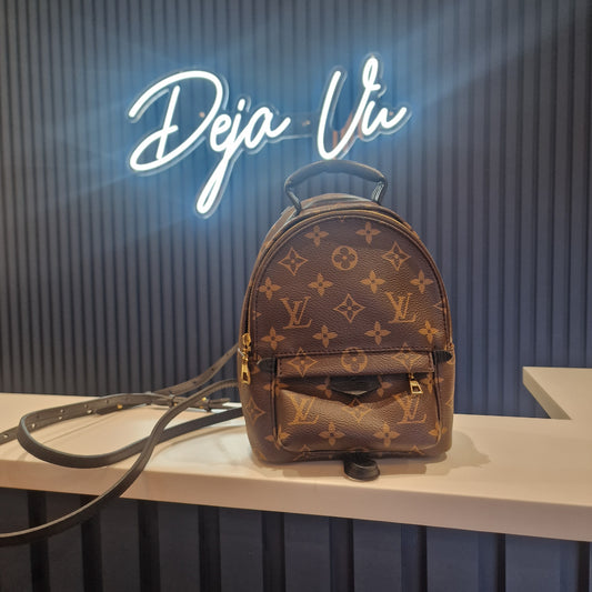 Louis Vuitton Palm Springs Mini Backpack