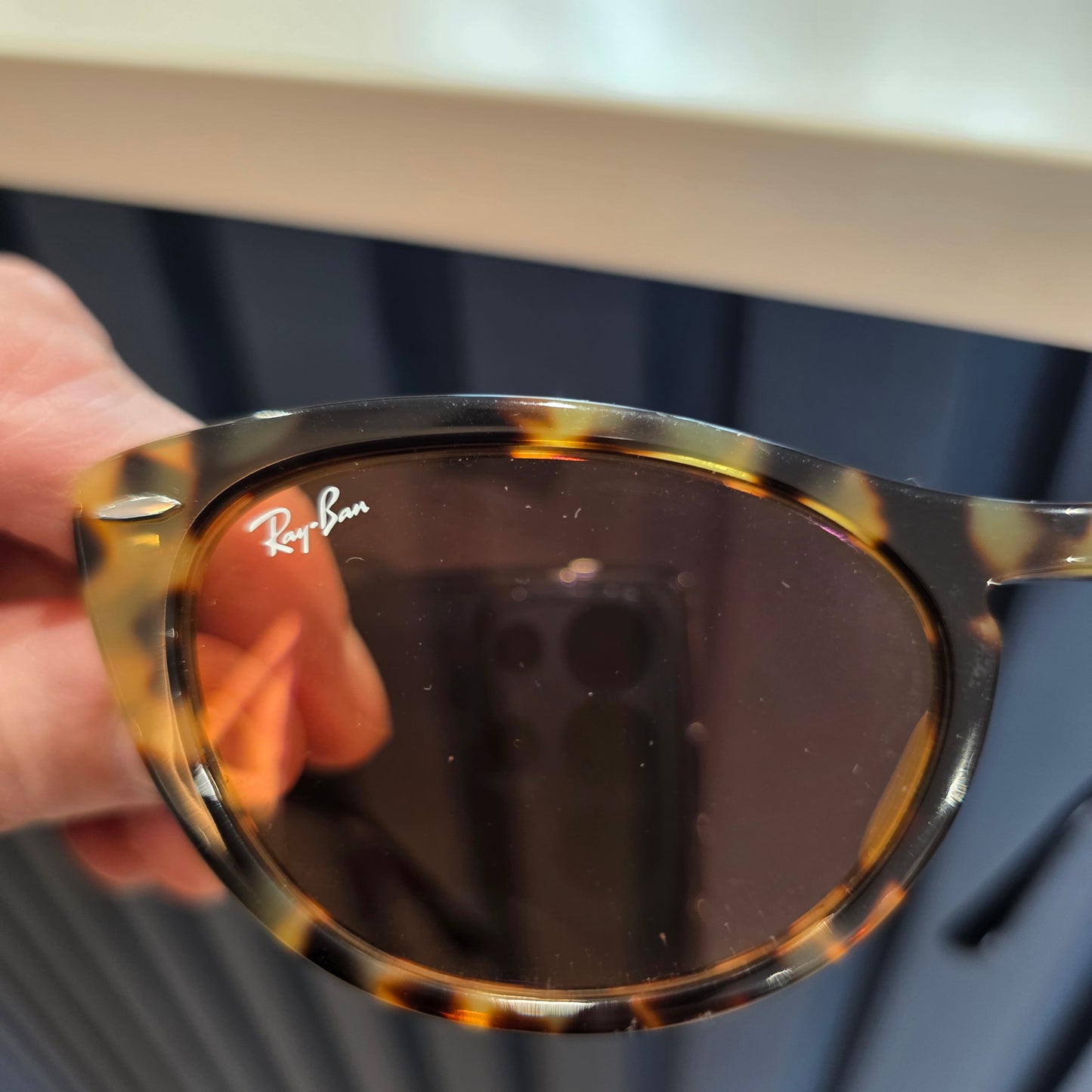 Ray Ban Nina Cat's Eye Sunglasses