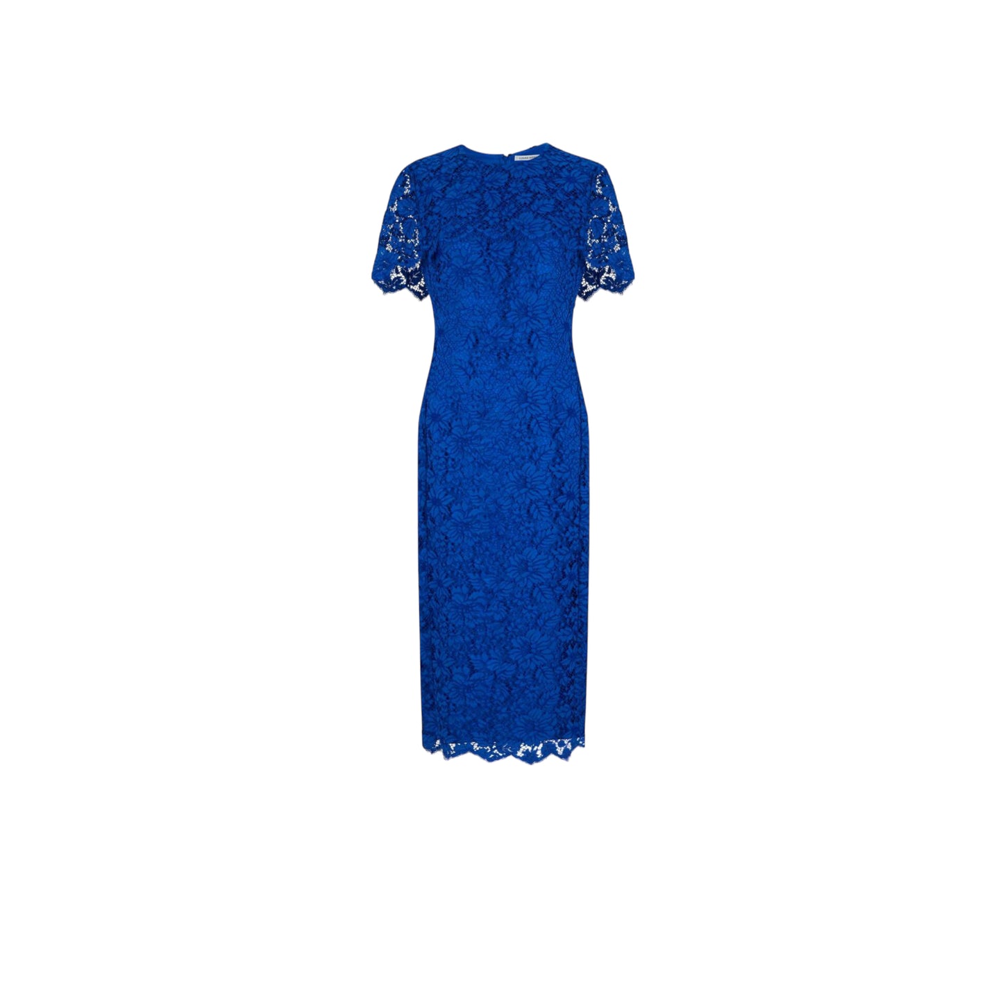 CURRENT SEASON Louise Kennedy Cobalt Blue Lace Dress