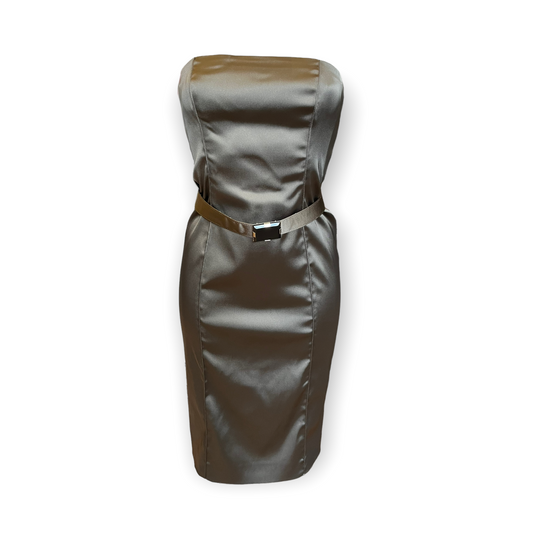 NEW Max Mara Pewter Dress and Belt